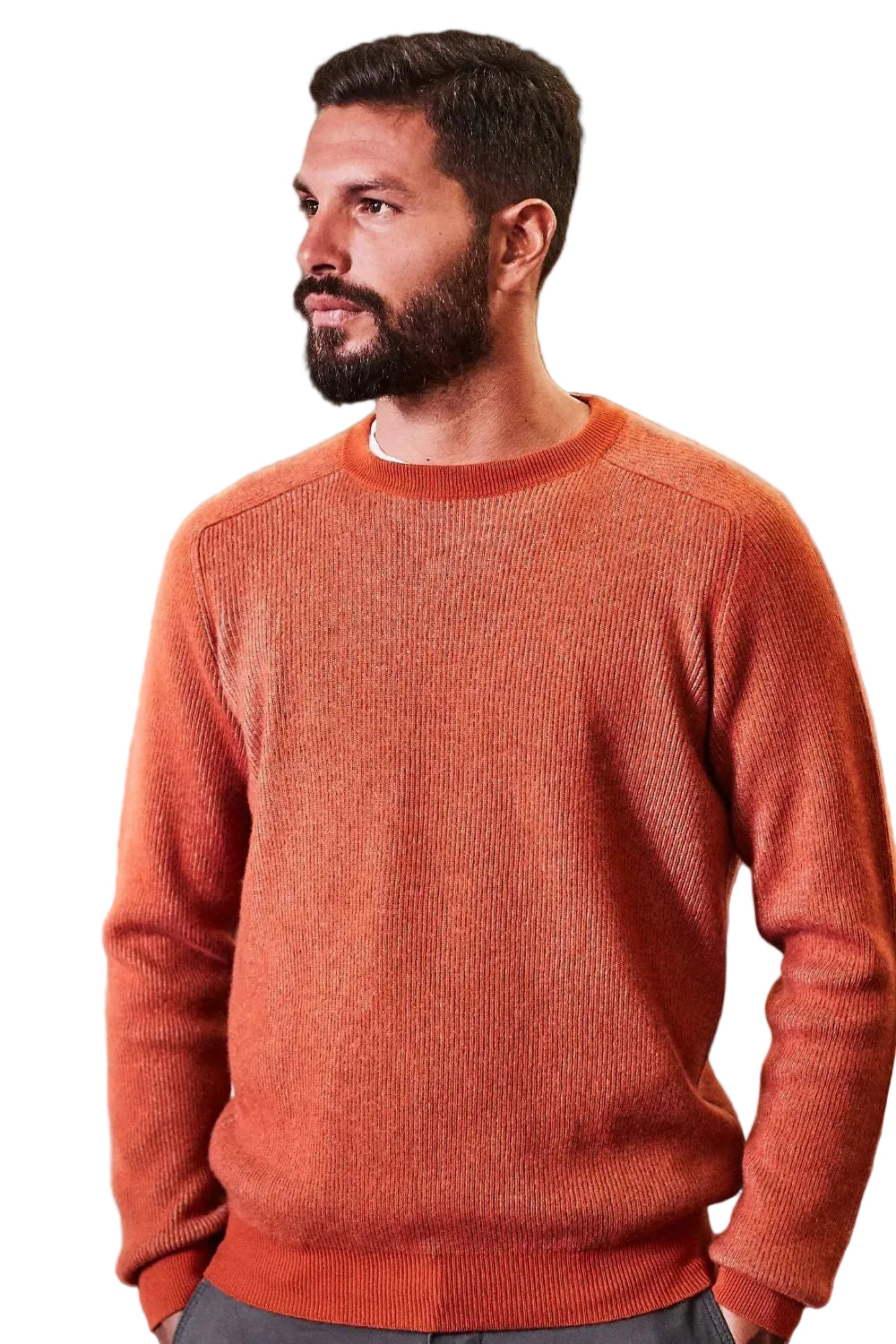 Girocollo A Maglia Inglese Bicolor
